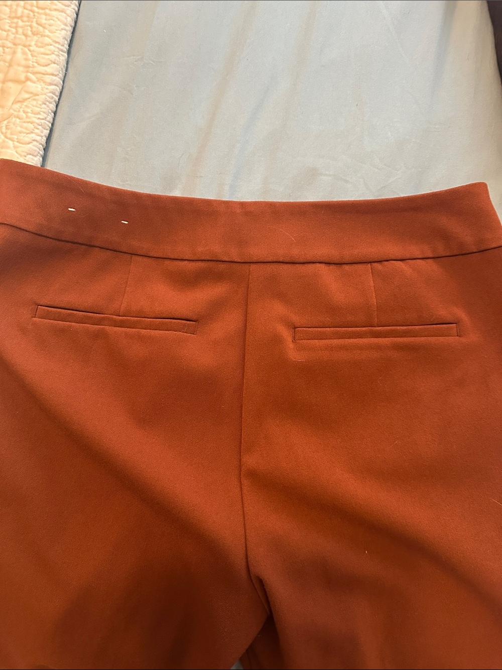 Ann Taylor women’s Dress Pants in Deep Rust - Picture 5 of 6